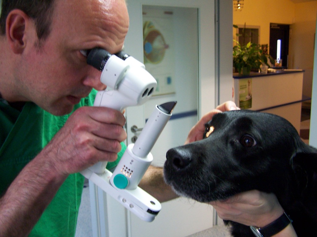 Dr. Med. Vet. Wolf Kaser Bergisch Gladbach Augendiagnostik - Dr. Wolf Kaser